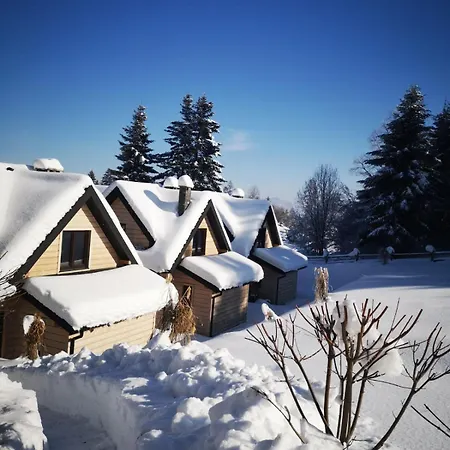 Mietowe Wzgorze 