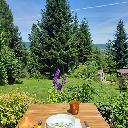 Mietowe Wzgorze 